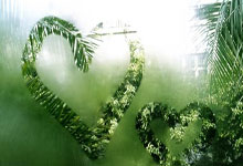 测试文章-记得删除