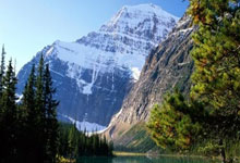 测试文章-记得删除