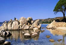 测试文章-记得删除